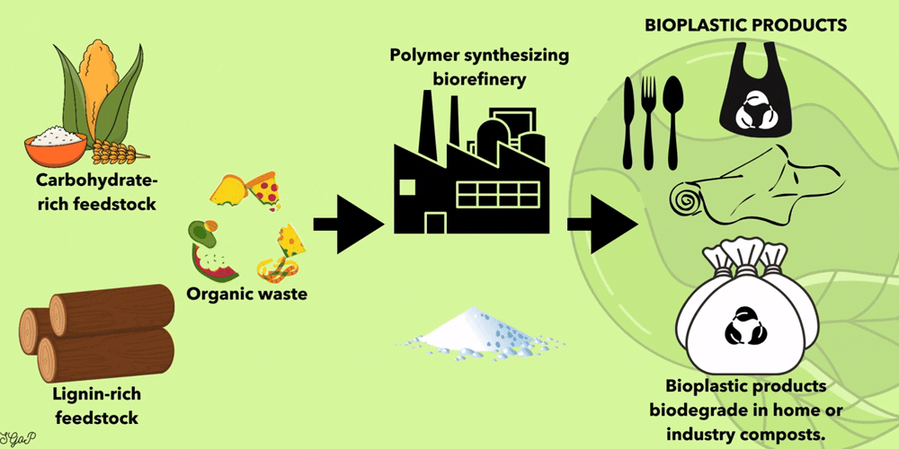 Bioplastic products from carbohydrate- and lignin-rich feedstock/organic waste-derived polymers