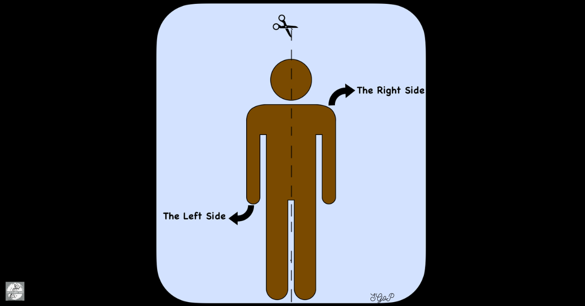Man with a central vertical line