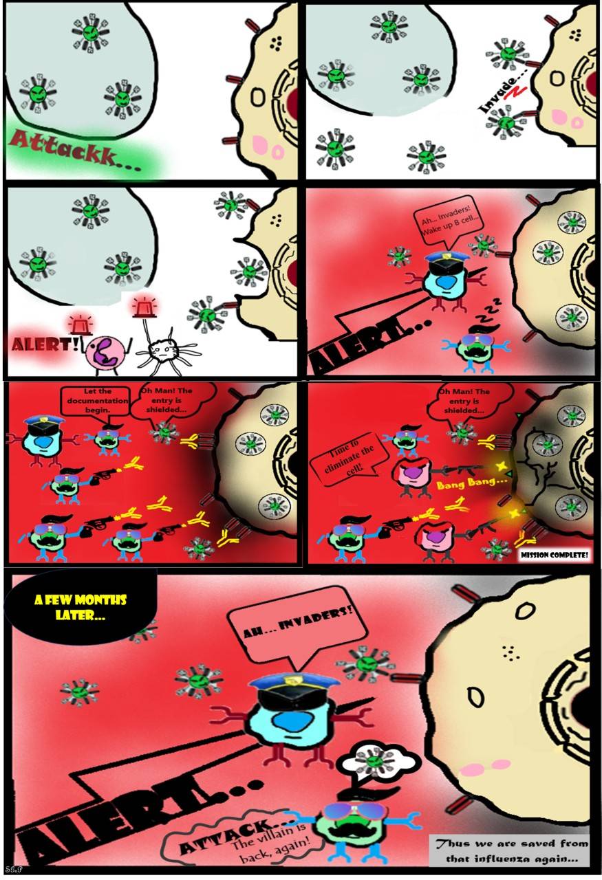 Immune response to influenza A virus