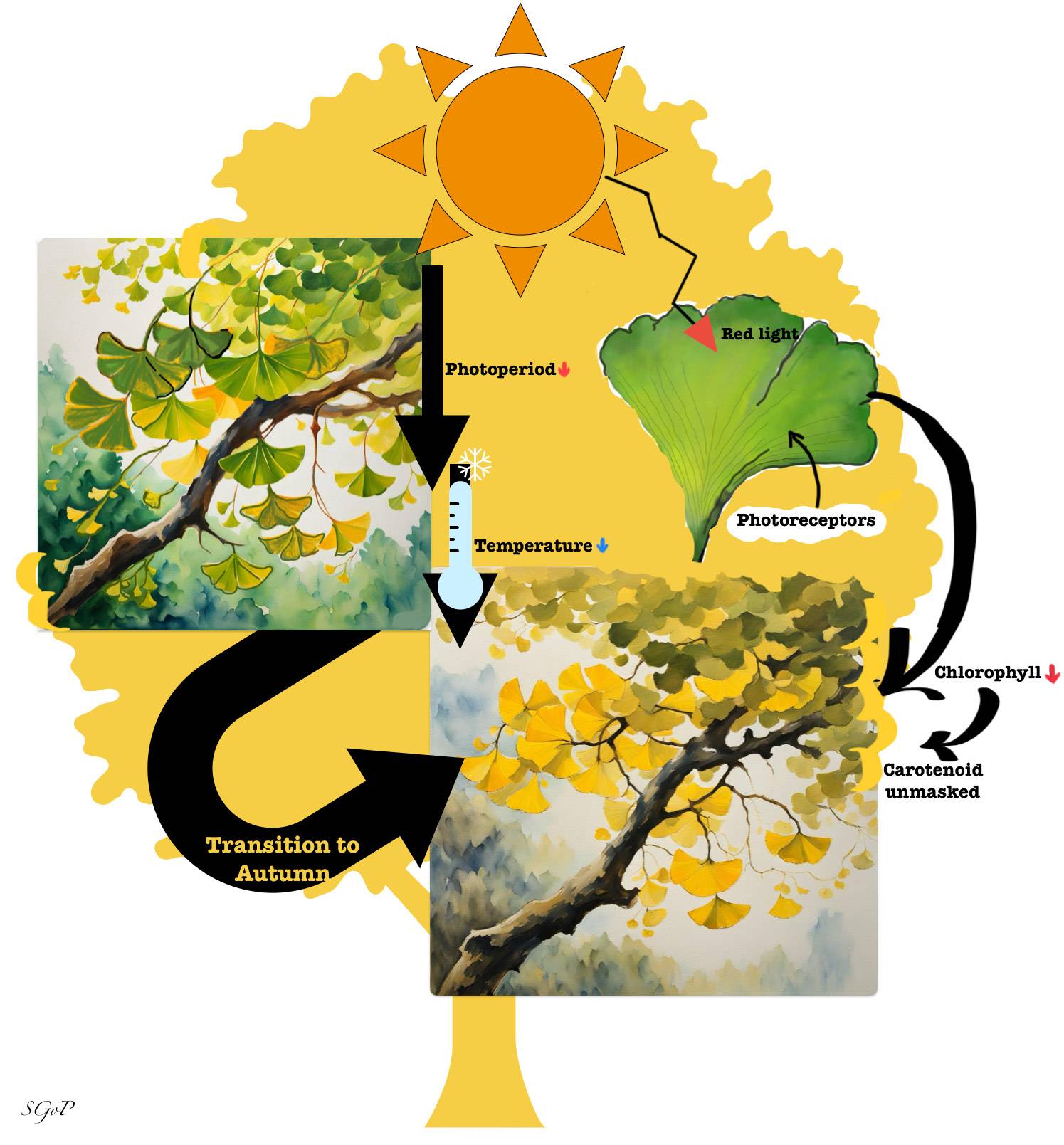 Progression of vibrant green leaves to yellow